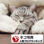 ブログランキング用バナー