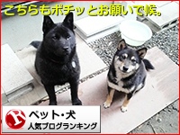 人気ブログランキングへ